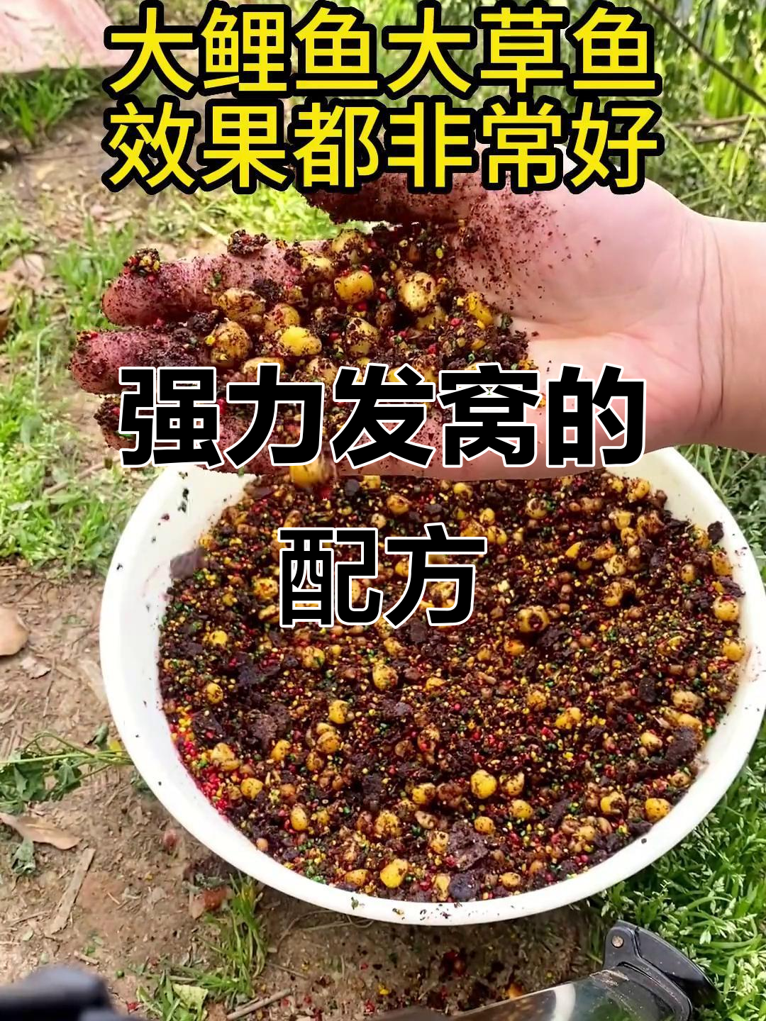 春季钓鱼必备窝料,大鲫鲤草鱼都爱!