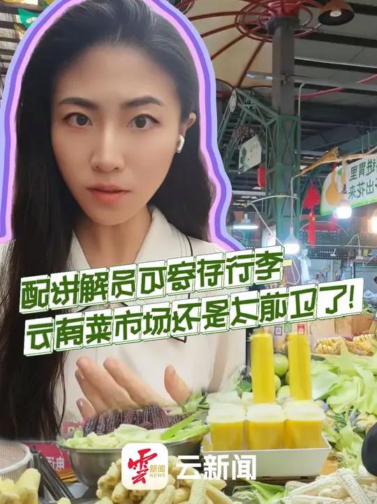 配讲解员还能存行李!云南菜市场还是太前卫了