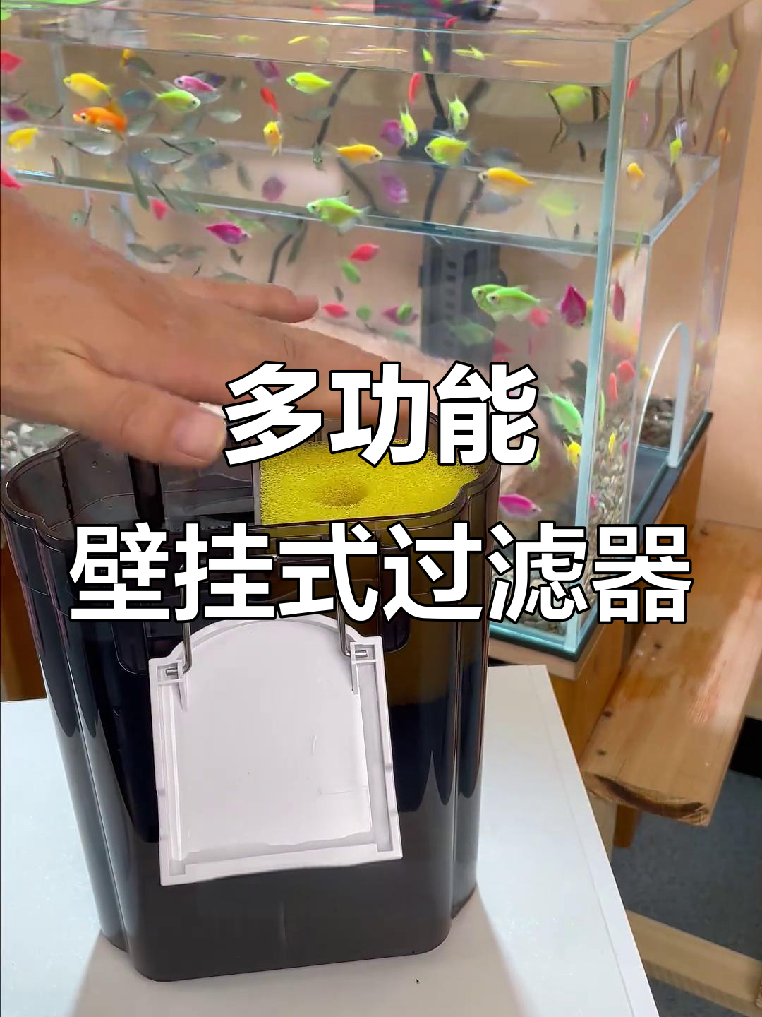 这款过滤器挂哪都行，搭配鱼缸超有范！
