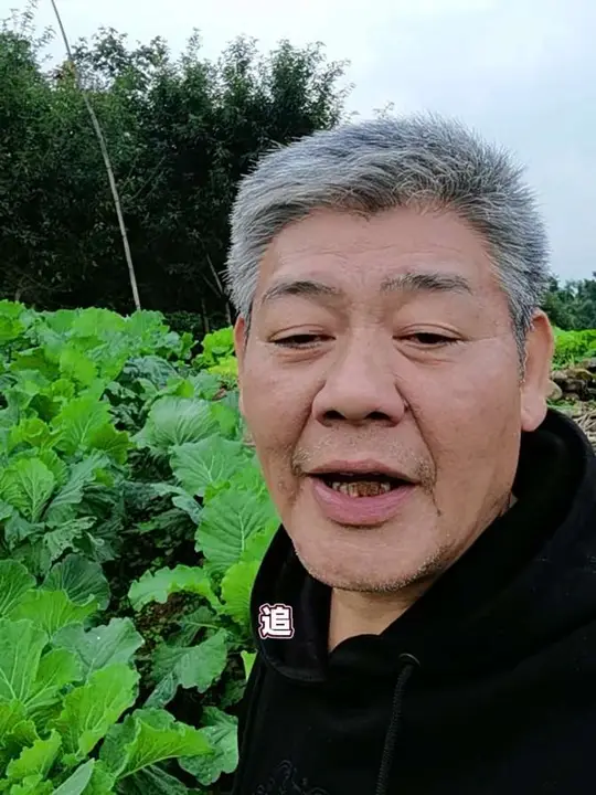 抖友好!随拍菜园地,以喜人蔬菜为背景听一曲《相遇》
