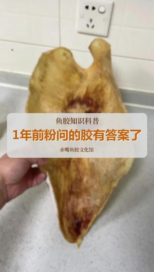 一年前的粉丝疑问疑似鲟鳇鱼胶