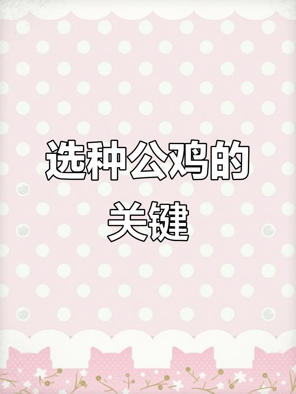 如何挑选适合做种公的斗鸡?关键条件全解析
