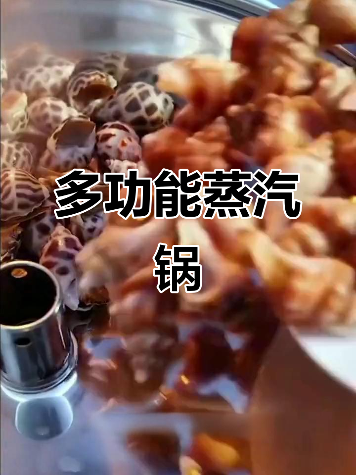 蒸汽火锅,蒸煮两用,厚底电磁炉适用,家用汤锅完美选择