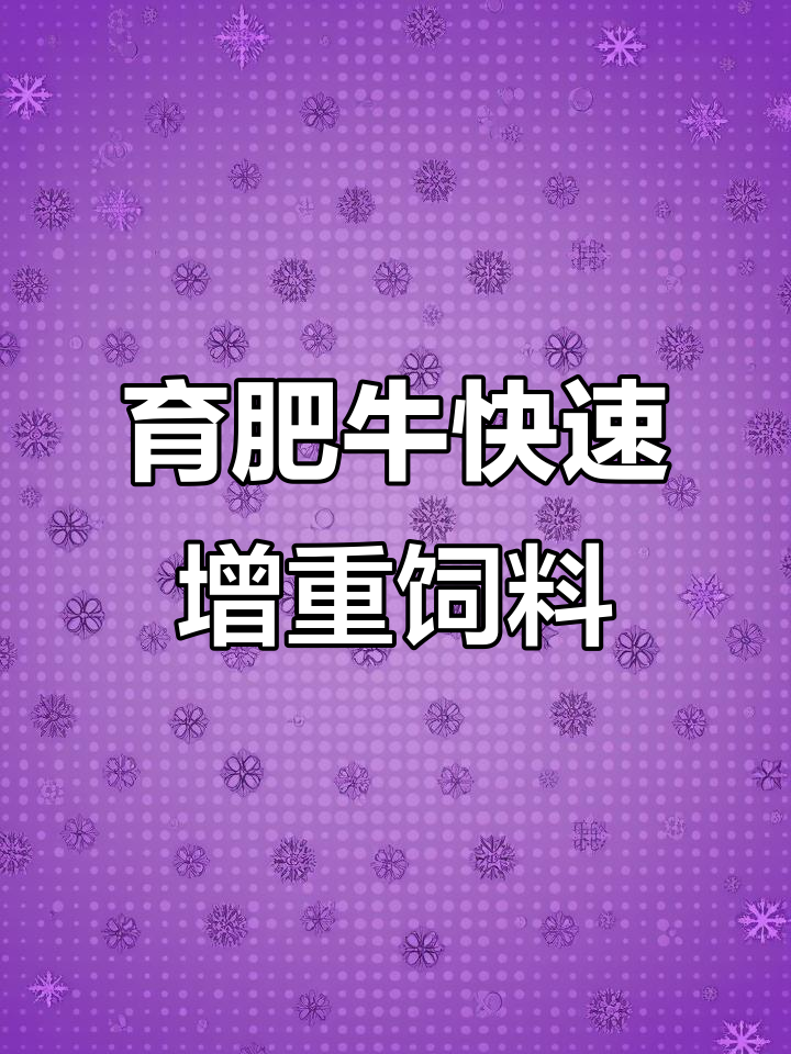 800斤育肥牛饲料配比，催肥效果显著