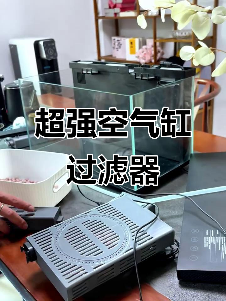 打造超强过滤系统，让鱼缸水质更清澈