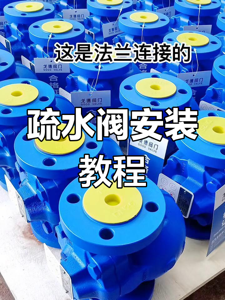 杠杆浮球疏水阀安装方法解析,螺纹与法兰连接正确方式
