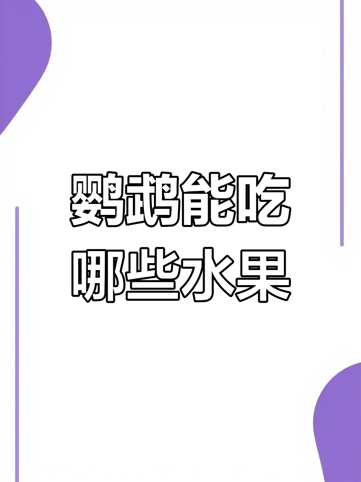 鹦鹉吃水果的好处与注意事项