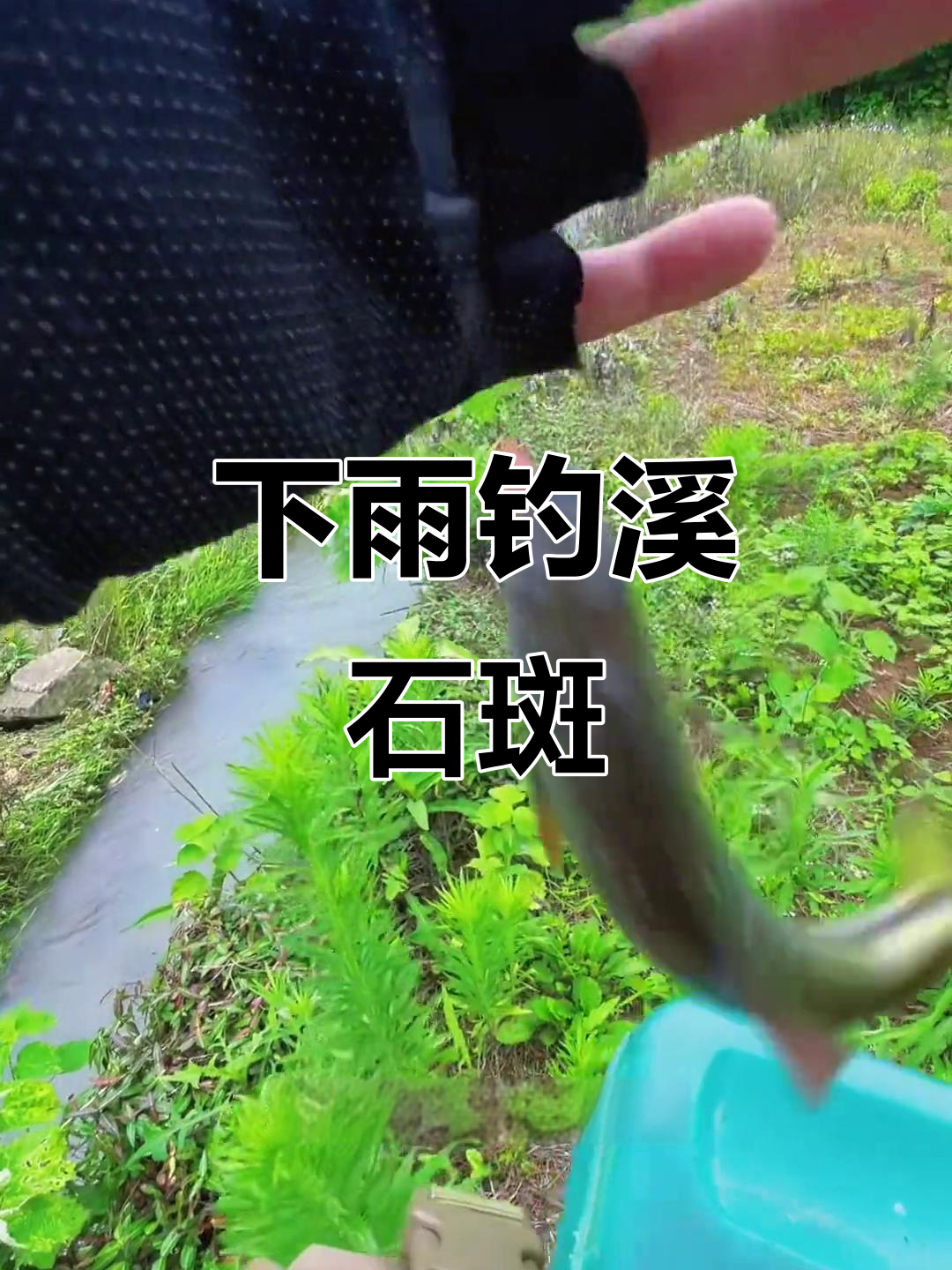 雨后溪石斑大丰收,原生态河道钓鱼技巧揭秘
