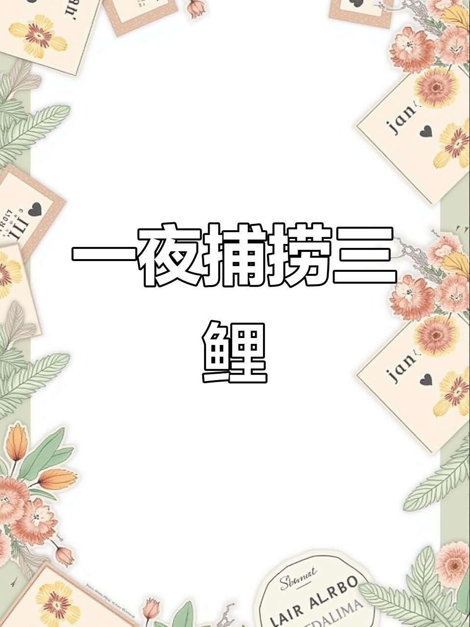 夜晚渔获满满,三条大鲤鱼和鲫鱼的惊喜之旅