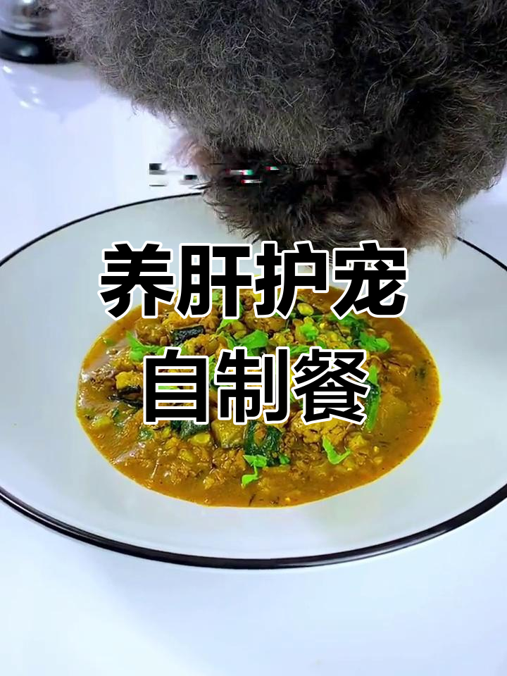 强化肝脏功能的狗饭,姜黄与牛后腿肉搭配