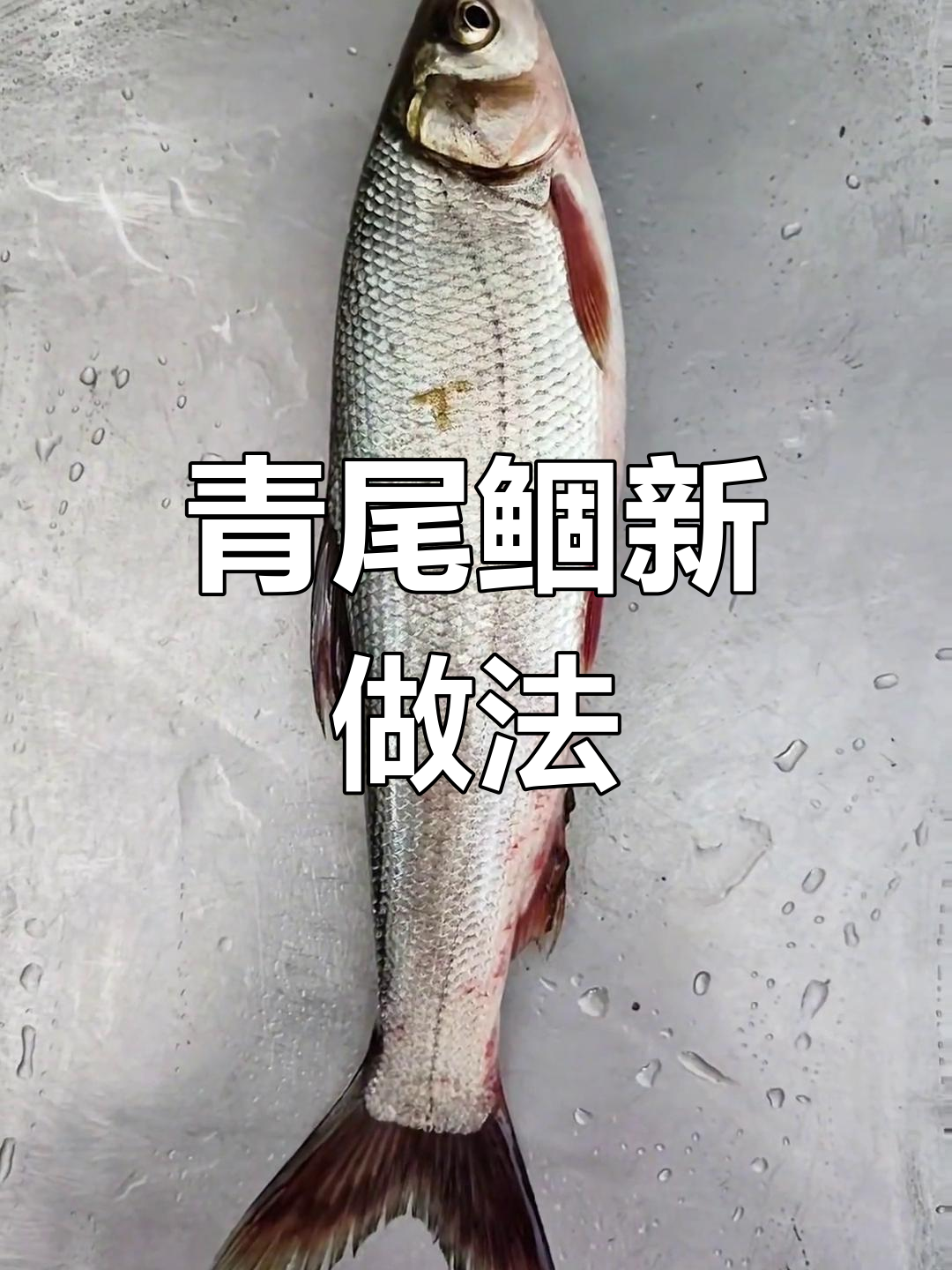 青尾鲴到底能不能吃?十个人九个说不好,试试这个做法