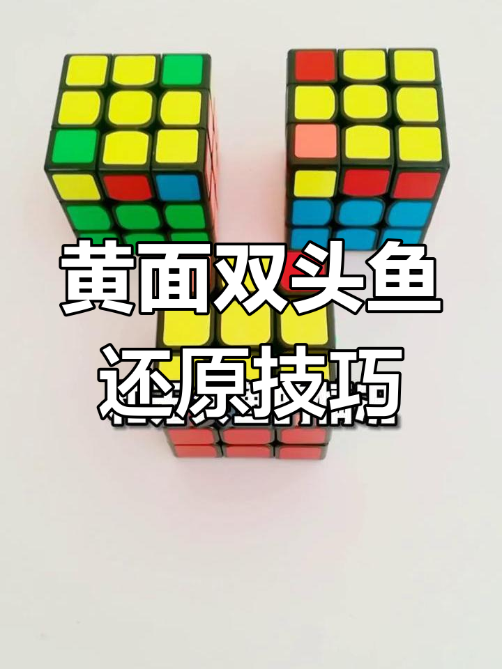 双头鱼小鱼解法还原黄面