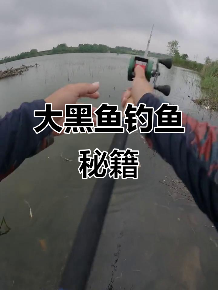 钓大黑鱼必备,锋利钩身设计,轻松应对各种重量挑战