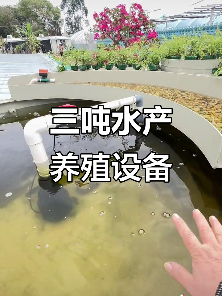 鱼菜共生系统全解析:三吨水循环利用,增氧过滤一步到位