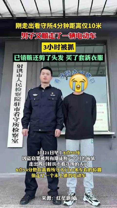 「男子被看守所释放4分钟又顺了辆电动车 3小时完成销赃理发被抓「捂脸」」因盗窃罪被判有期徒