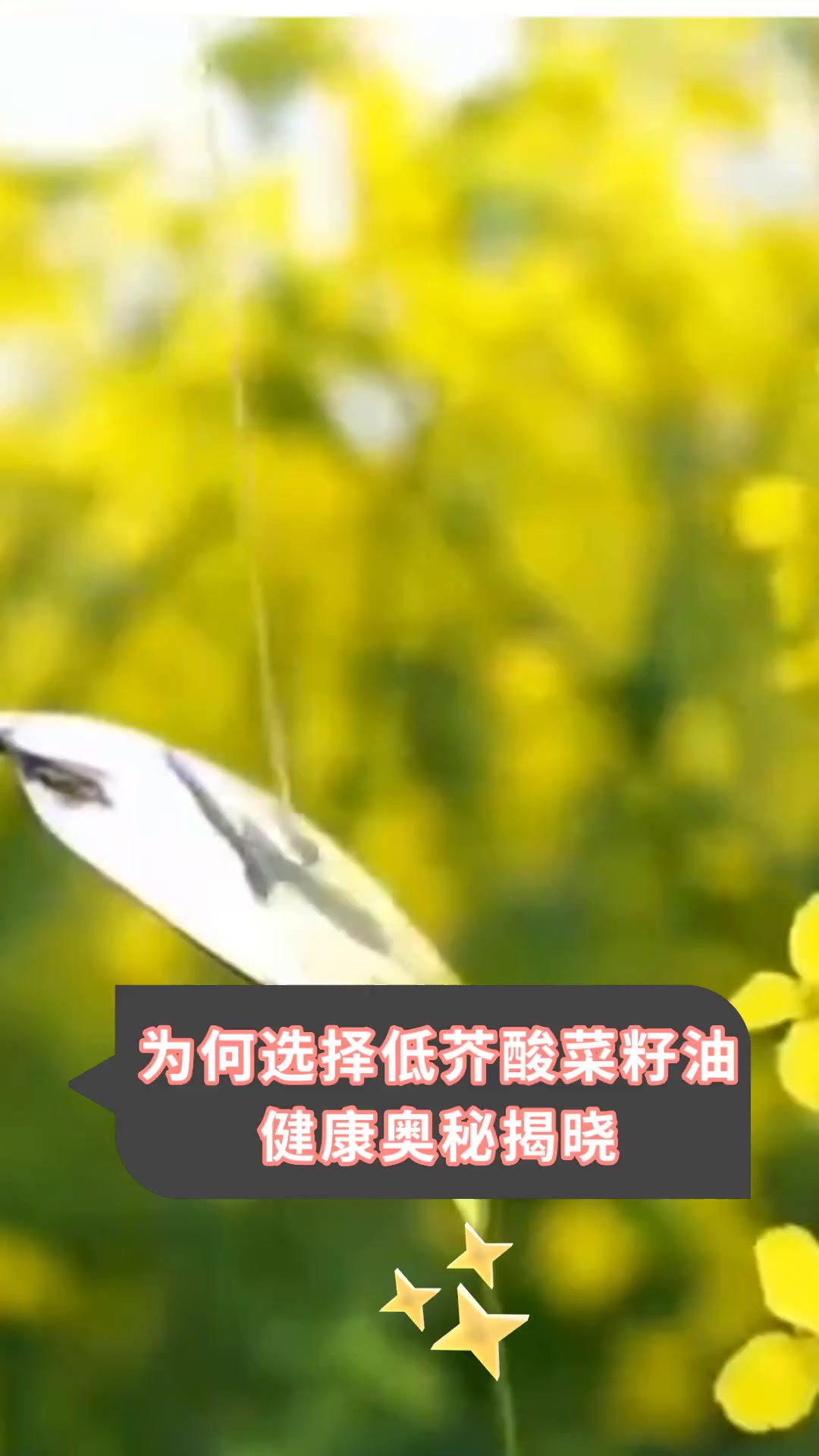 为何选择低芥酸菜籽油,健康奥秘揭晓