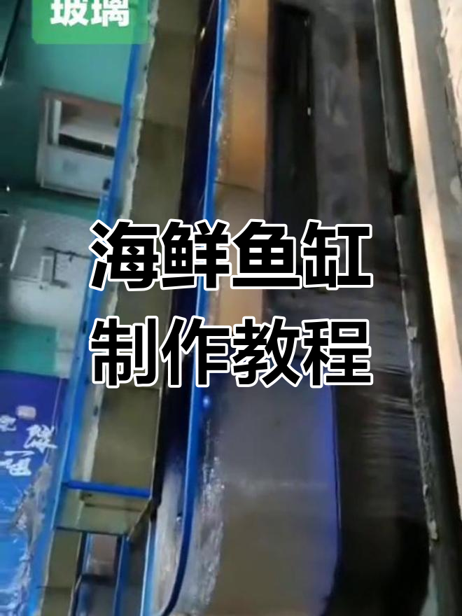 制作精美海鲜鱼缸,打造专属海洋世界