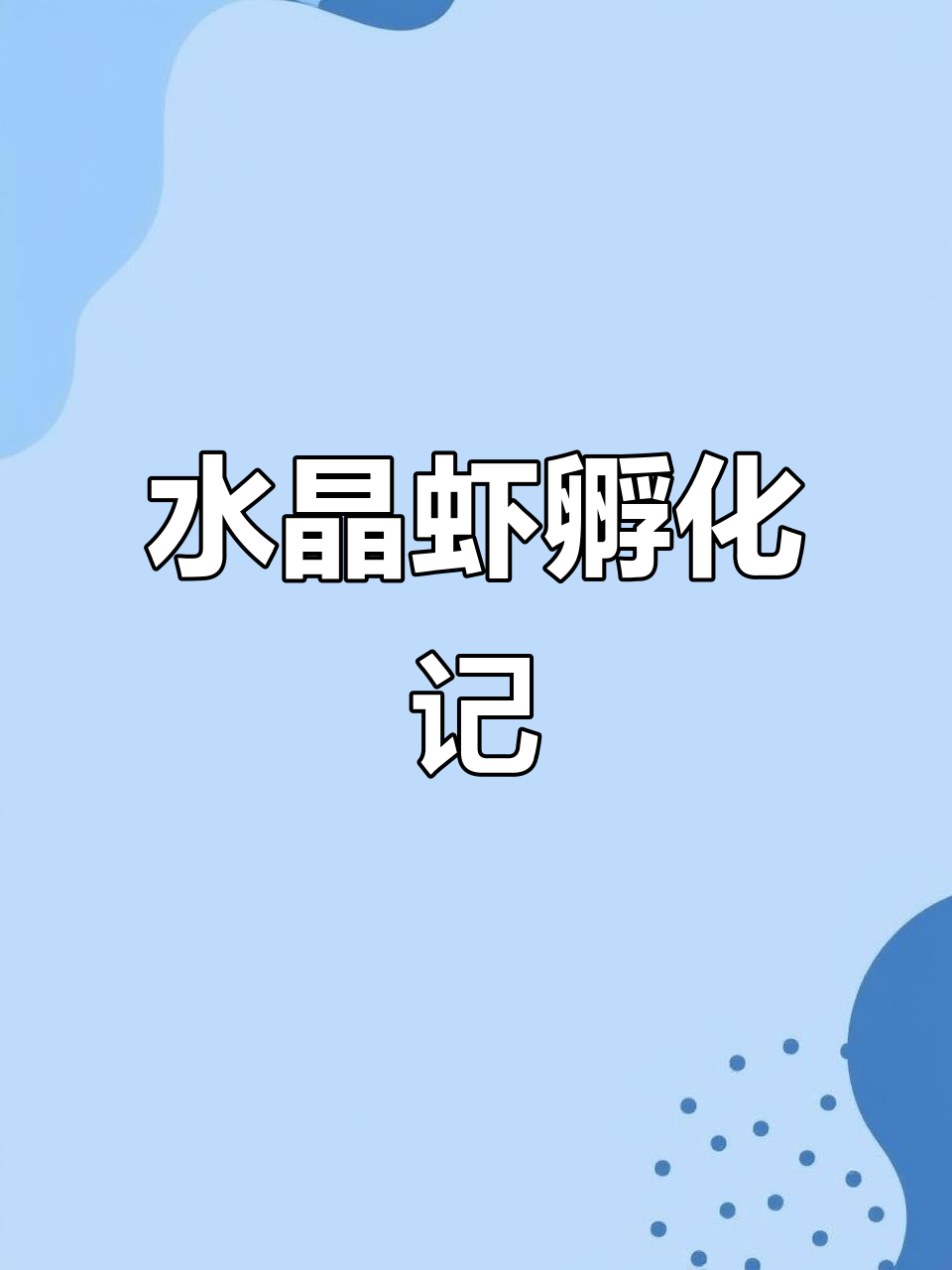 第一次成功孵化水晶虾,绿色小苗惊喜现身!