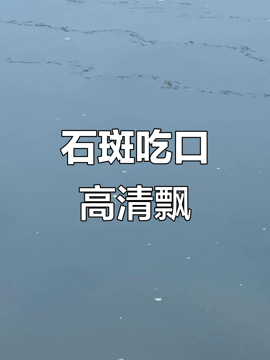 石斑鱼高清漂向，钓鱼达人必看！
