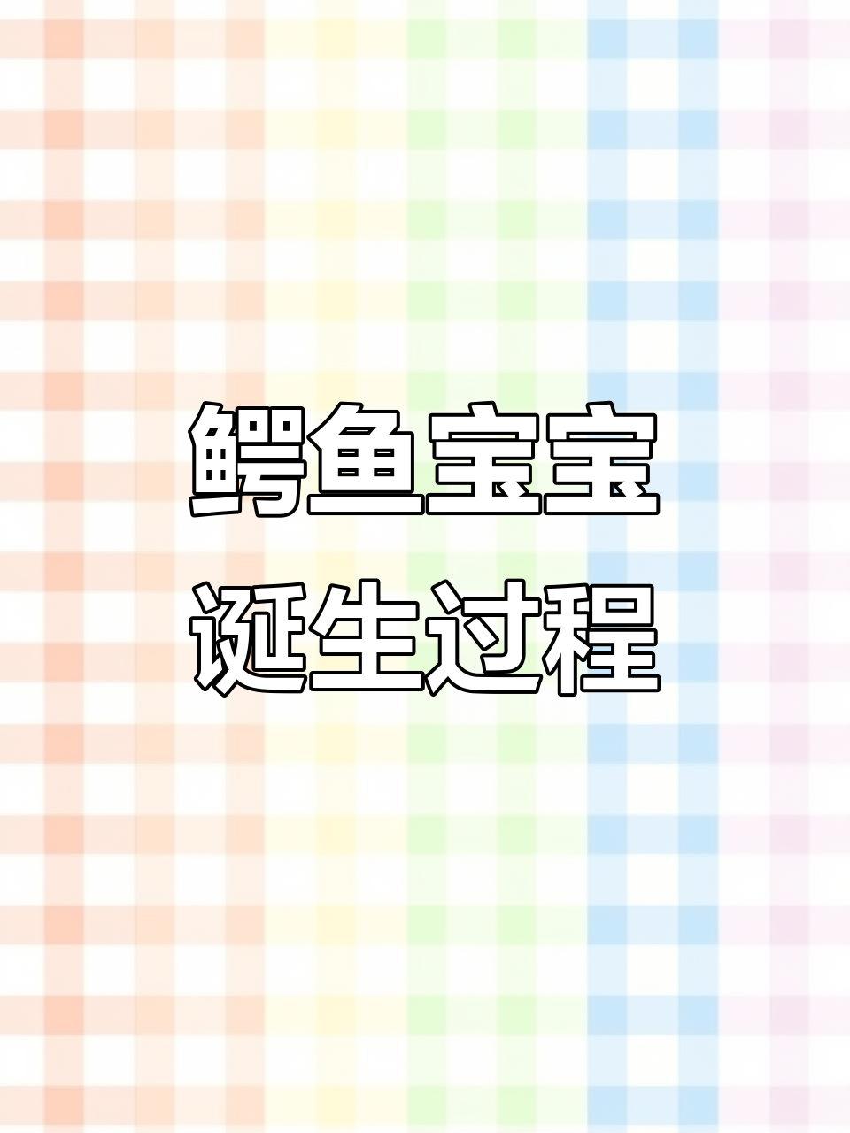 小鳄鱼破壳而出,生命奇迹的瞬间