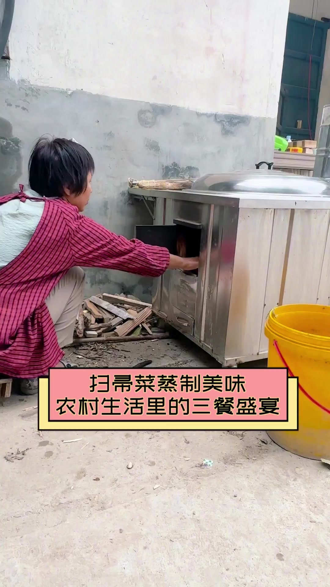 扫帚菜蒸制美味,农村生活里的三餐盛宴