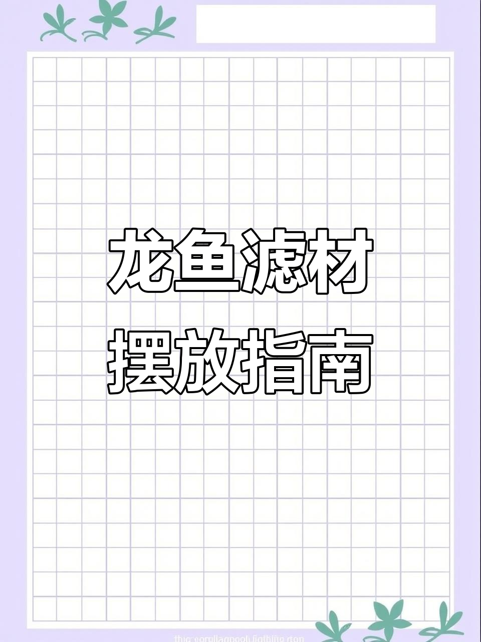 龙鱼缸过滤摆放技巧,干湿分离如何设置更合理