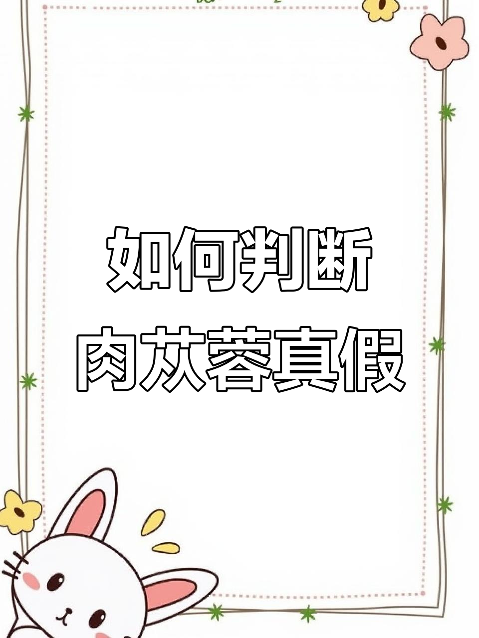 肉苁蓉菊花芯深浅不一,真伪如何辨别?