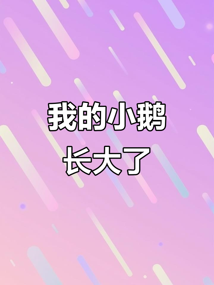小鹅成长记:3月从吃草到长大的变化