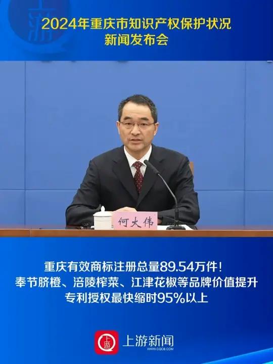 4月24日,2024年重庆市知识产权保护状况新闻发布会上,重庆市知识产权局党组书记、局长何