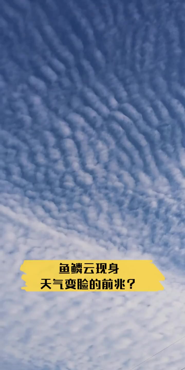 鱼鳞云现身,天气变脸的前兆?