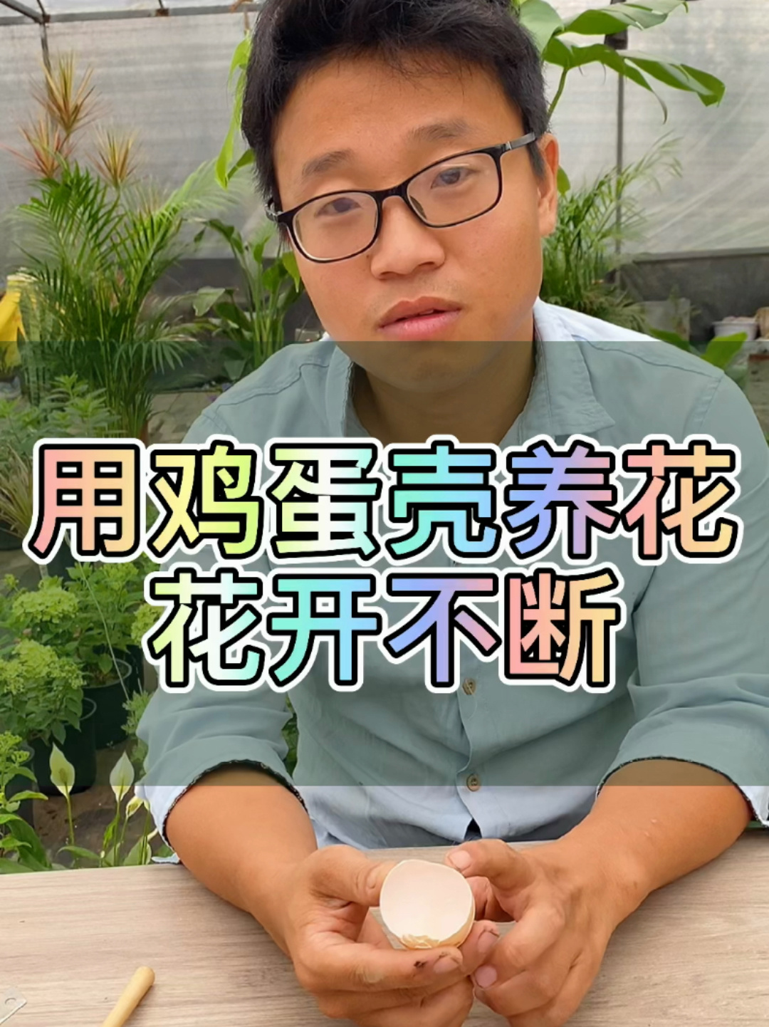 用鸡蛋壳养花,可以花开不断哦