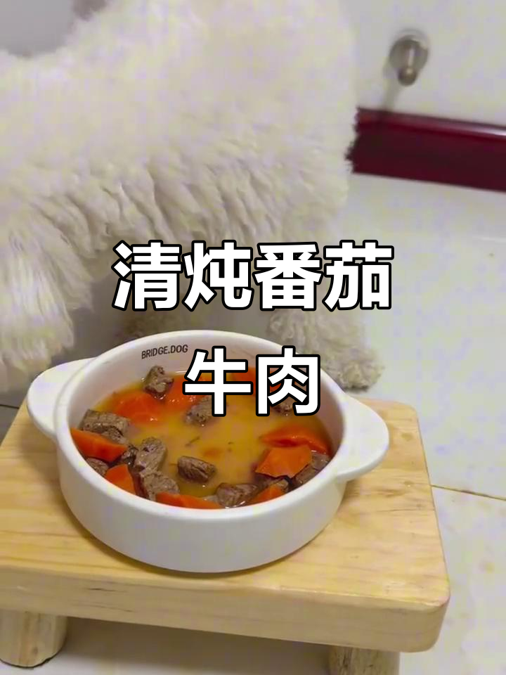 狗狗清炖番茄牛肉,胡萝卜和肉块慢煮成美味汤