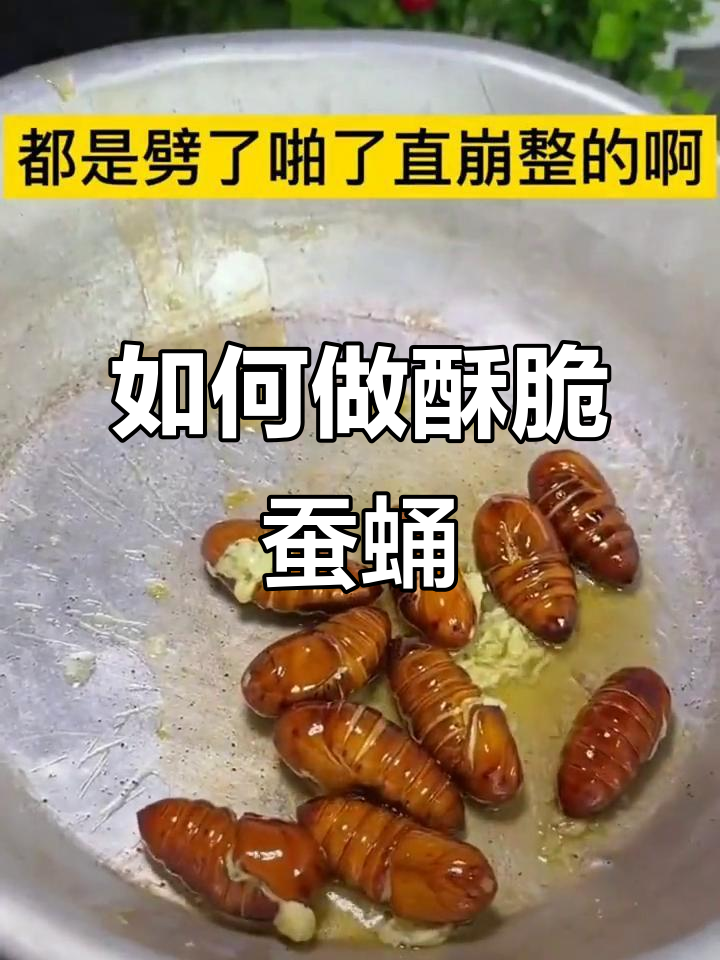 炒蚕蛹不崩,做法超简单!