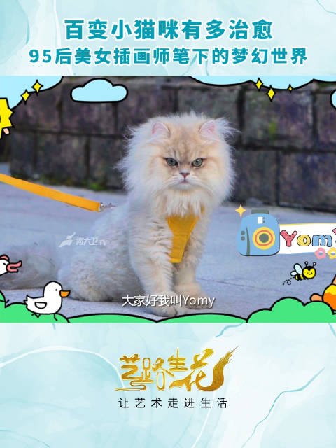浙江美女插画师为猫咪绘出多彩喵生 治愈系作品长啥样?清华才女李曼园将自己的猫咪Yomy作为