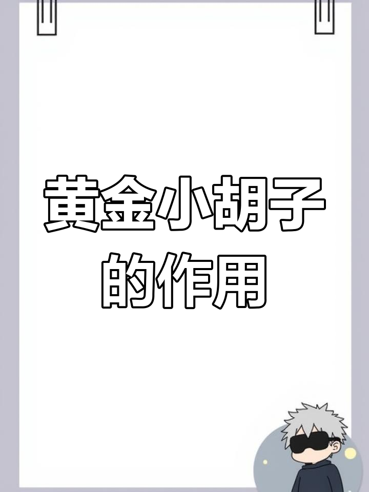 黄金小胡子鱼:鱼缸清洁必备