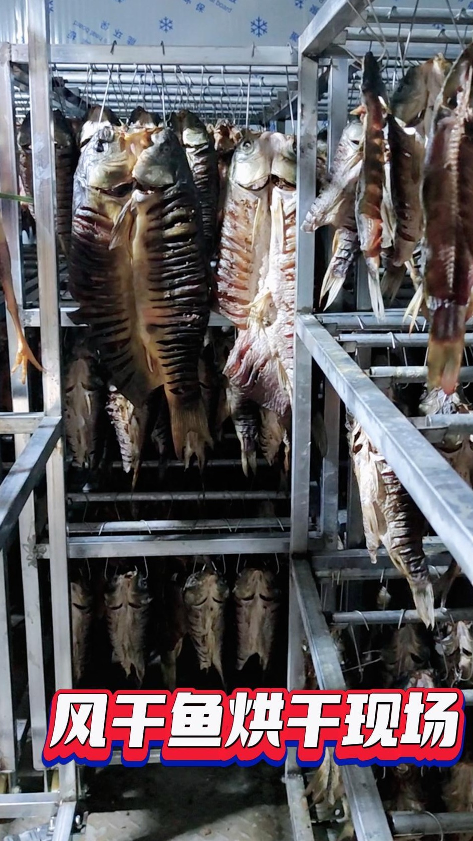 鱼干烘干应该注意什么