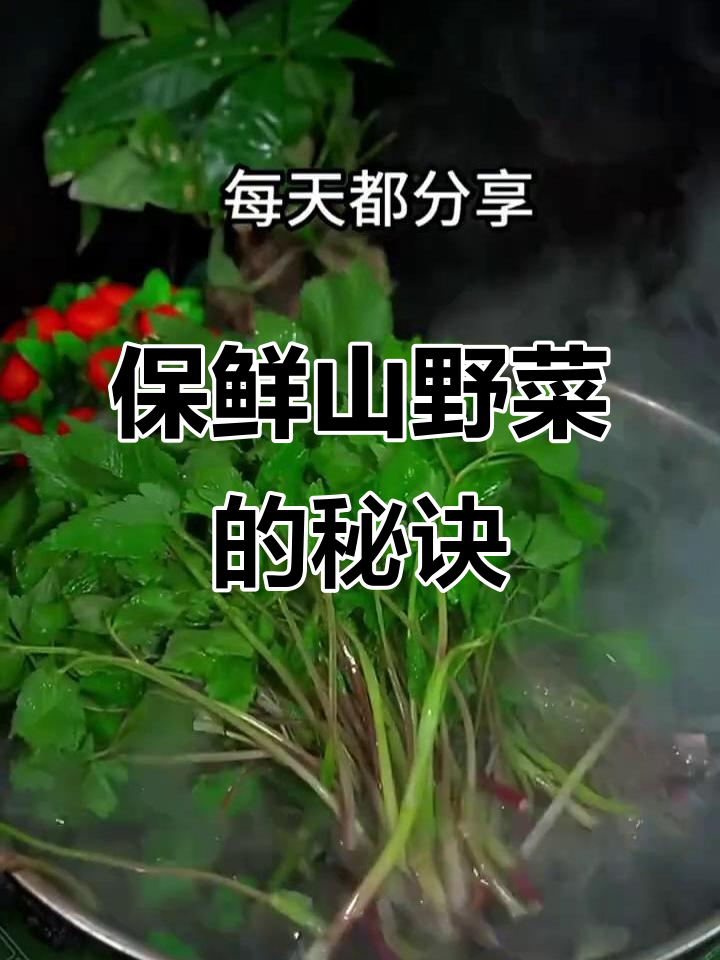 山野菜这样储存,一年都不变味儿!教你最实用的方法