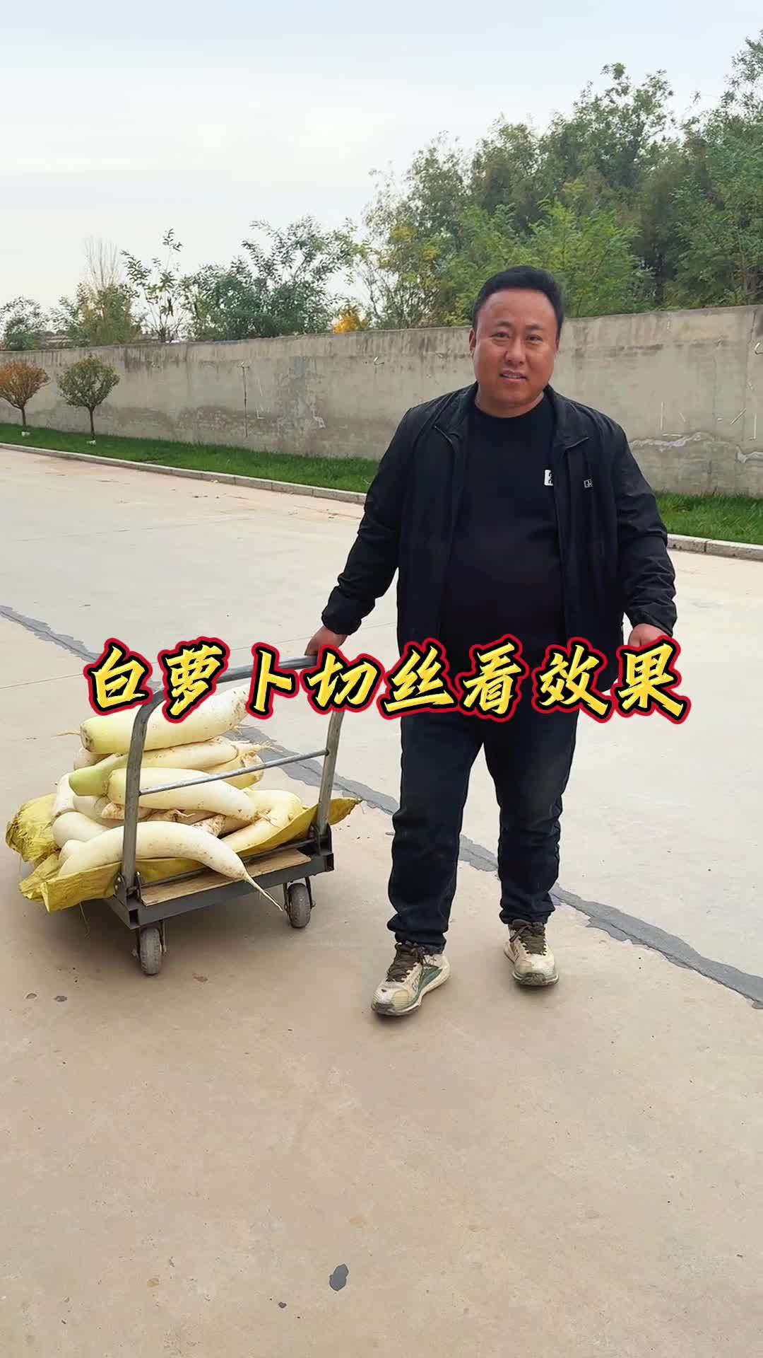 老吴今天给大家切白萝卜丝看看效果怎么样 切菜机 多功能切菜机 萝卜切丝机 多功能切菜机切丁