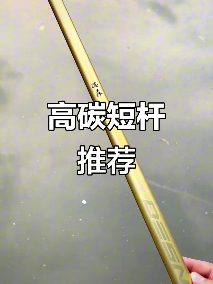 德森短节鱼竿,轻巧耐用,携带方便,钓鱼必备良伴