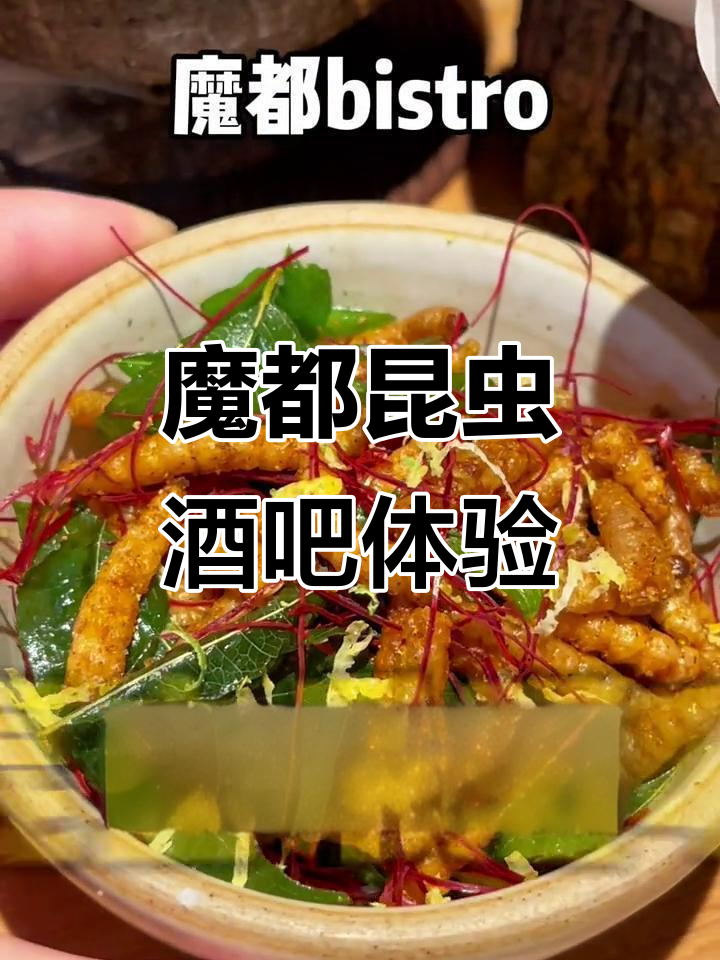 魔都昆虫系酒吧大揭秘，环保设计+猎奇美食的完美结合