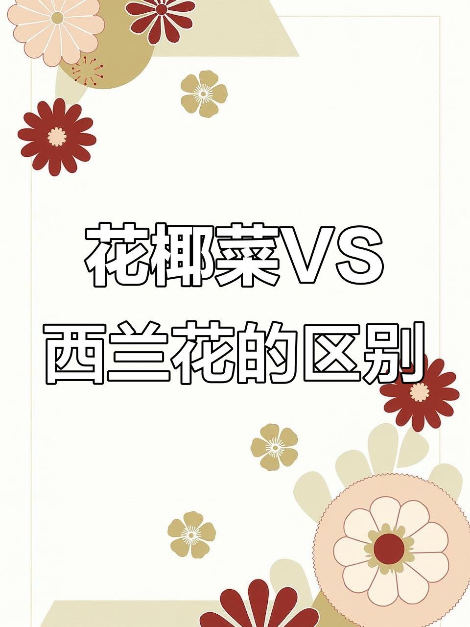 西兰花和花椰菜的区别:颜色、营养与味道大揭秘