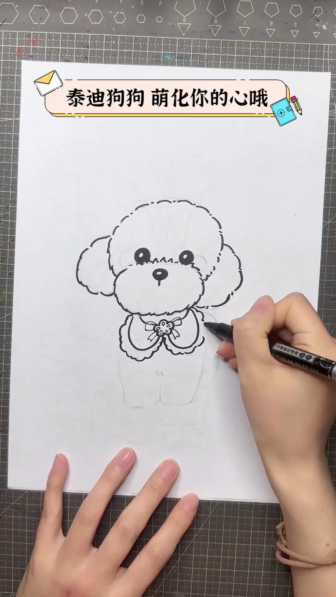 泰迪狗狗,萌化你的心哦
