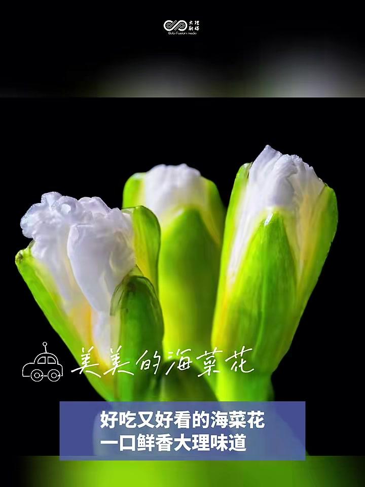 大理好吃好看的海菜花,神仙姐姐同款哦。#春节#美食#海菜花