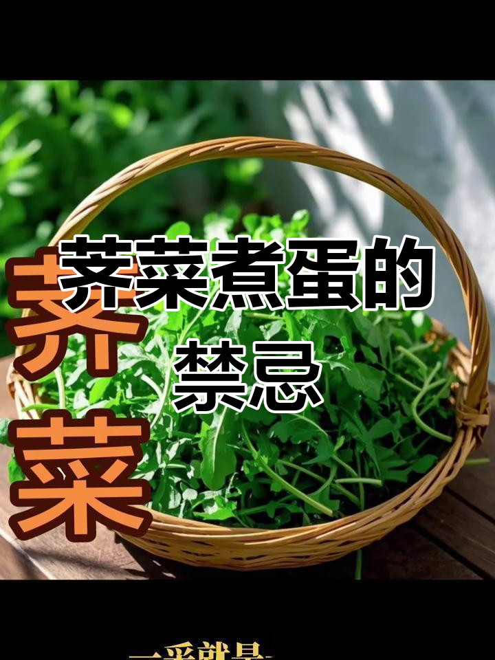 荠菜煮蛋,驱寒暖胃,但孕妇及低血压者慎用