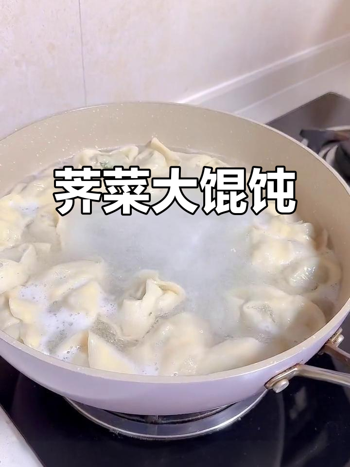 荠菜大馄饨，肉少菜多才是王道！