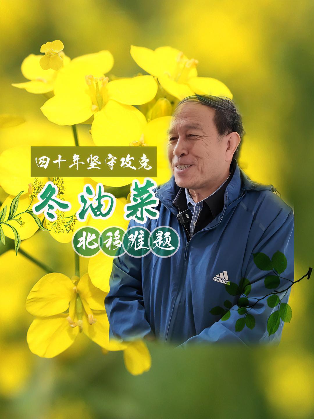 端稳“油瓶子” 甘肃农业大学教授孙万仓 四十年坚守攻克冬油菜北移难题 甘肃 粮食安全