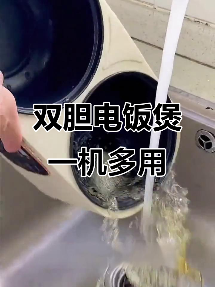 一锅双胆,煮饭、炖汤两不误