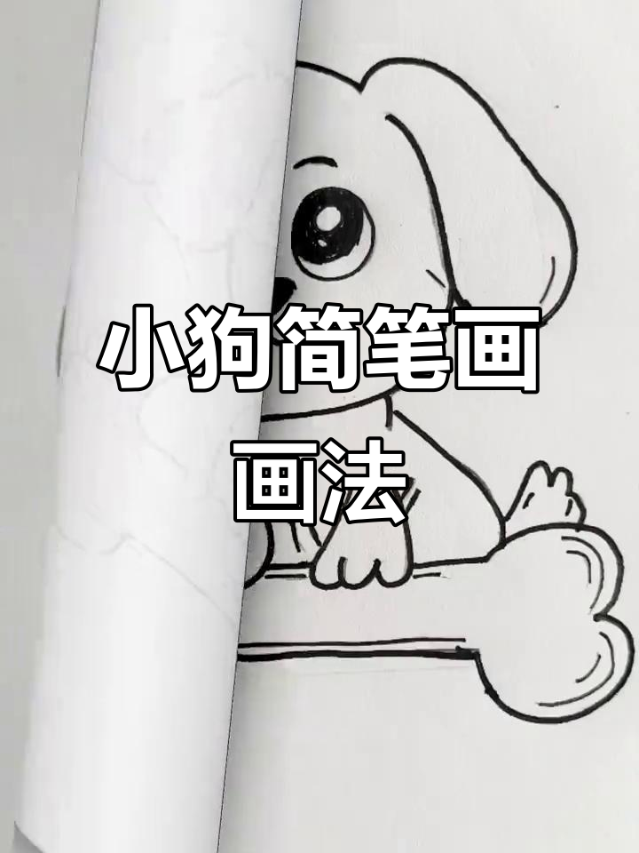 轻松学画十二生肖,小狗简笔画教程
