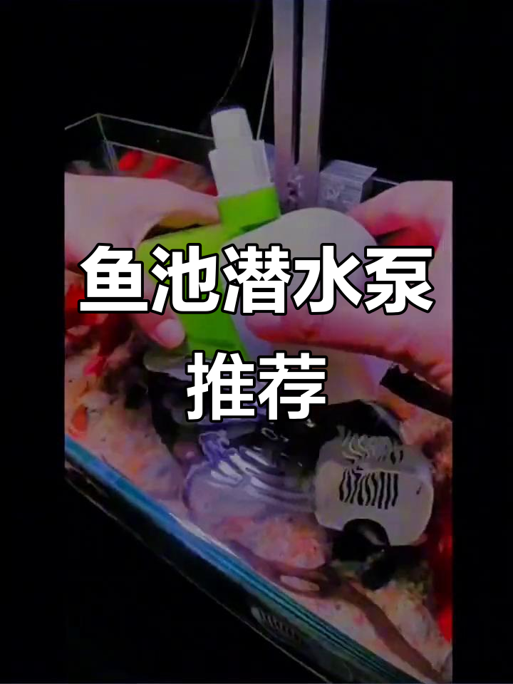 鱼缸水泵静音设计,变频循环泵底吸抽水两用