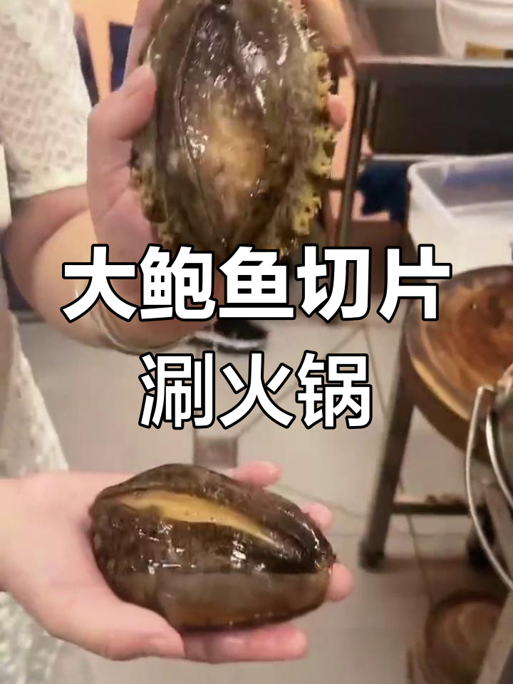 手掌大鲍鱼,姜汤火锅涮煮